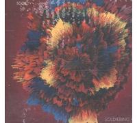 The Dissolute Society - Soldiering On