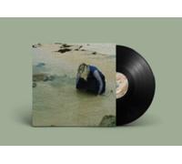 The Distance Between Heart and Mouth