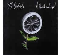 The Districts - A Flourish and A Spoil [VINYL]