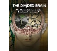 The Divided Brain
