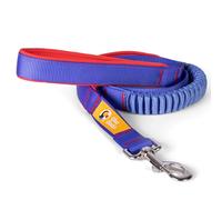 The Dodo Bungee Dog Leash