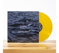 The Dodos Certainty Waves (Vinyl) (US IMPORT)