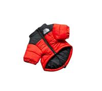 The Dog Fans Winter Down Jacket for Small and Medium Dogs, Warm, Thick Vest, Coat for French Bulldog Puppies (Red, L)
