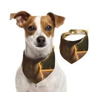 The Dog Standing on The Grass Under The Sunset Pet Scarf Dog Bandanas Spring Summer Soft Cotton Puppy Scarfs Adjustable Accessories for Small Medium Large Girl Boy Pup Medium