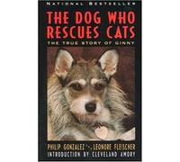 The Dog Who Rescues Cats: The True Story of Ginny