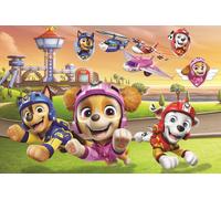 The dogs are on top - Viacom Paw Patrol