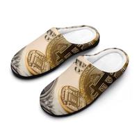The Dollar And Bitcoin Cotton Women's Slip-on Slippers Winter Warm House Shoes with Rubber Sole for Home Office Hotel