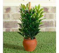 The Dolls House Emporium Plant in Terracotta Pot