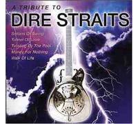 The Dominos - A Tribute To Dire Straits