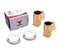 The Door Bull - Brass Pool Rail Anchor and Escutcheon Set