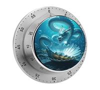 The Dragon King Kitchen Timer 60 Minute Visual Wind Up Timers Indoor Mechanical Timers with Magnetic Base Stainless Steel Timer for Home Cooking Time Management Tool