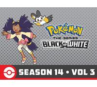 The Dragon Master's Path!