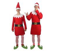 The Dragons Den Adults Naughty Elf Santa's Shelf Helper Christmas Fancy Dress Costume [L/XL]