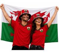 The Dragons Den Adults Wales Bucket Hat 5ft x 3ft Flag & Face Paints St Davids Day Supporters Kit