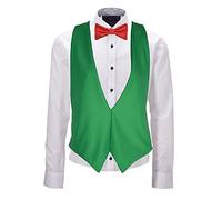 The Dragons Den Adults Wales Welsh Cymru National Flag Backless Waistcoat & Bowtie Fancy Dress [2 Sizes]