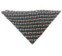 The Dragons Den Adults Wales Welsh Flag Baner Cymru Y Ddraig Goch Rugby Football Nations Supporters St Davids Day Bandana Kerchief Fancy Dress [One Size]