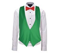 The Dragons Den Welsh Flag Backless Waistcoat & Bow Tie Set Wales All Nations Rugby Accessory [L/XL]
