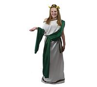 The Dragons Den Womens Greek Goddess Roman Senator Grecian Mythology Toga Robes Historical Fancy Dress Costume [Green L-XL]