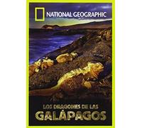 The Dragons of Galapagos