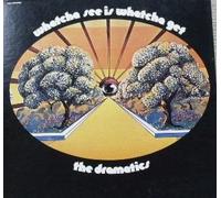 The Dramatics - Whatcha See Is Whatcha Get