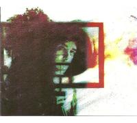 The Draughtman's Contract