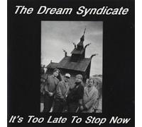 The Dream Syndicate - It's Too Late To Stop Now