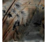 THE DRIFT INSTITUTE - DAMAGE AND THEIR SLICES [VINYL]