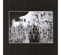 The Drin Elude The Torch (Vinyl)