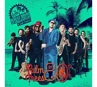 The Dualers - Palm Trees and 80 Degrees ( VINYL) [VINYL]