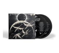 The Ducks - High Flyin'