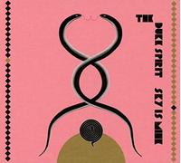 The Duke Spirit - Sky Is Mine [CD]