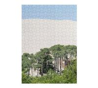 The Dune Detailed Jigsaw Puzzle for Adults, 300 PCS