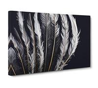 The Dynamic Bird Feathers Canvas Wall Art Print 30x20 Inch