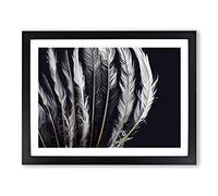 The Dynamic Bird Feathers Framed Print | A2 Black Framed Wall Art | Ready to Hang | Modern Nature Picture | Living Room Bedroom Lounge Office
