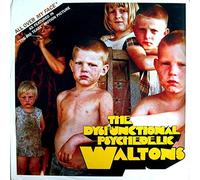 The Dysfunctional Psychedelic Waltons - All Over My Face