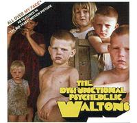 The Dysfunctional Psychedelic Waltons - All Over My Face [Vinyl Single 12'']