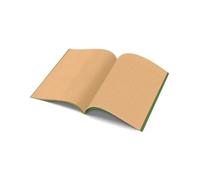 The Dyslexia Shop A4 - Project Book - 10mm Lined and Plain on Alternate Page Tinted (Green Cover) Single Book/Orange