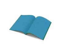 The Dyslexia Shop A4 - Project Book - 10mm Lined and Plain on Alternate Page Tinted (Green Cover) Single Book/Turquoise