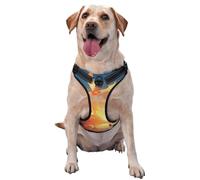 The eagle flying reflective Oxford unobstructed pet vest, easy to control handle, suitable for small, medium and large dogs