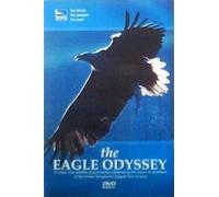 The Eagle Odyssey [DVD] [2004]