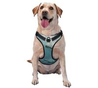 The eagle soaring reflective Oxford unobstructed pet vest, easy to control handle, suitable for small, medium and large dogs