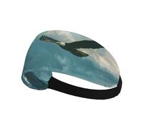 The Eagle soaringWide Non-Slip Sweat Headbands,Soft Breathable Exercise for Running, Yoga, Cycling and utdoor Sports
