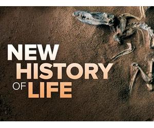 The Early Chemical Evolution of Life