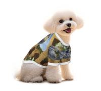 The Earth in The Mysterious Church Dog T-Shirt Clothes Apparel Puppy Vest Pet and Elastic Tank Top Clothing, Dogs Cats Pullovers Cute Breathable Soft Medium