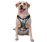 The Earth on The Stairs Premium Dog Harness for Small, Medium, and Large Dogs - Durable, No Pull with Reflective Straps and Quick Release BucklesSmall