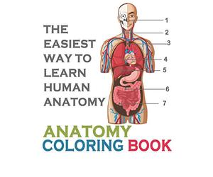 The Easiest Way To Learn Human Anatomy: Anatomy Coloring Book: an Entertaining and Instructive Guide to the Human Body - A Coloring, Activity & Medical Book for Teens and Adult