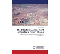 The Effective Management of Geologic Risk in Mining: Mine Planning Under Geologic Uncertainty Second Edition