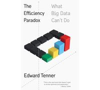 The Efficiency Paradox: What Big Data Can't Do