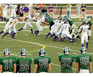 The Efficient Market Hypothesis