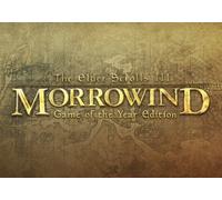 The Elder Scrolls III: Morrowind Game of the Year Edition (PC) Steam Key - EU